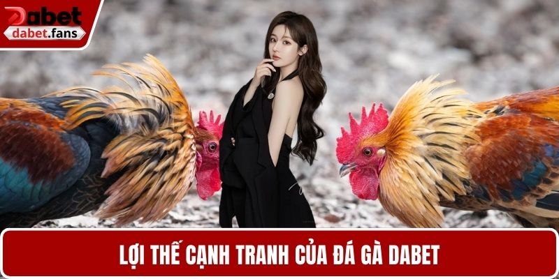 Lợi thế cạnh tranh của đá gà DABET